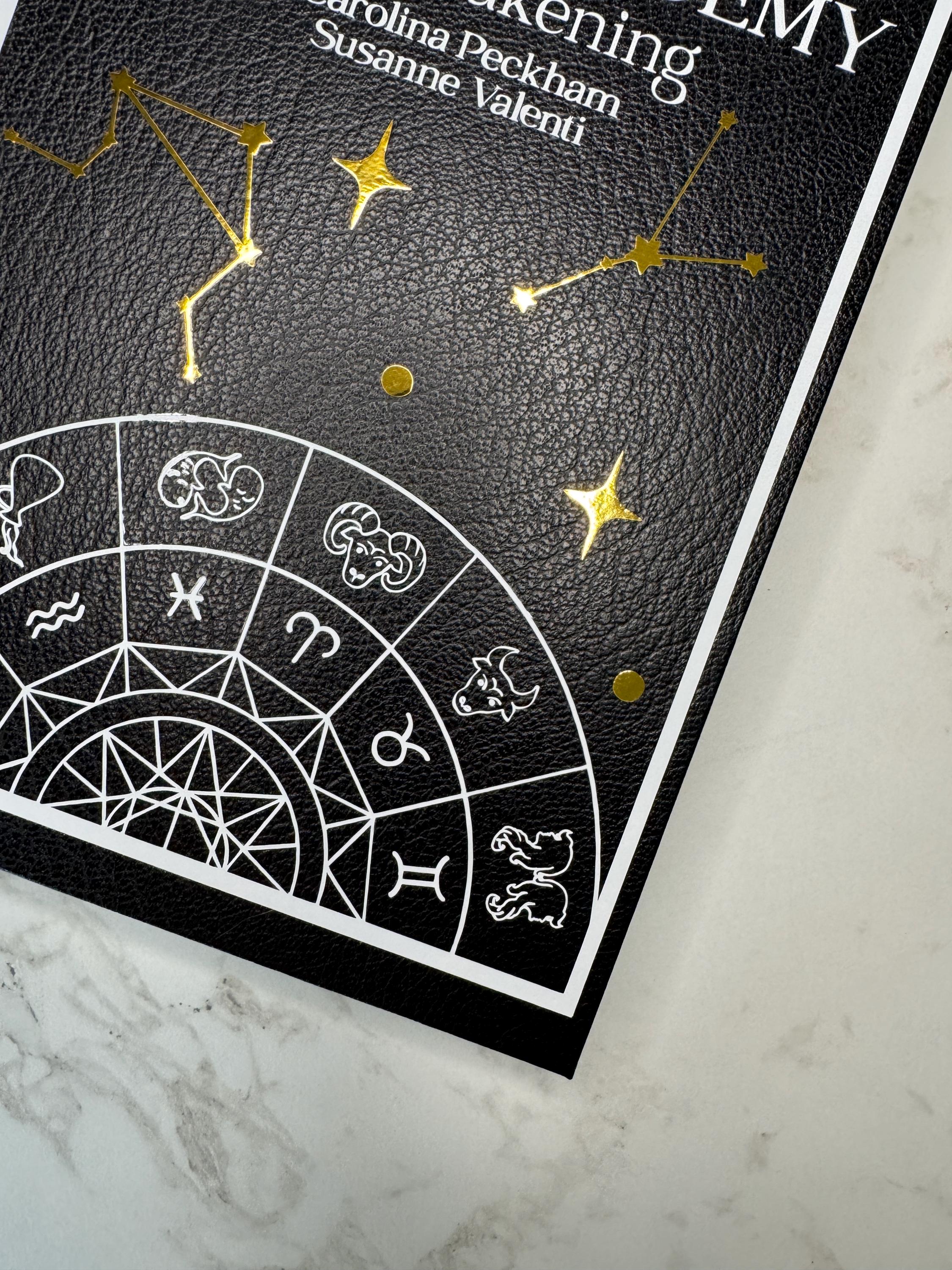 Zodiac Academy by Caroline Peckham and Susanne Valenti