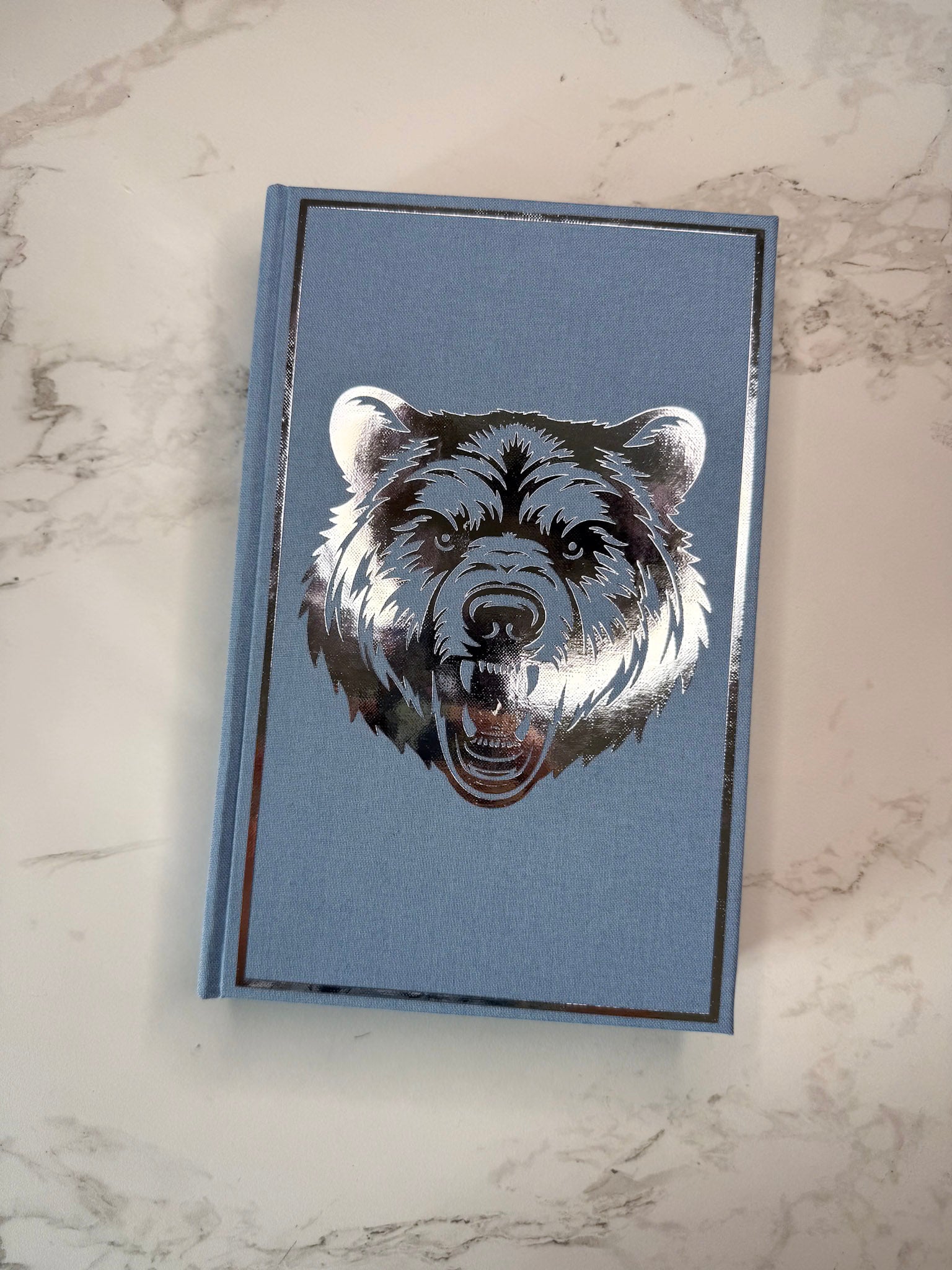 Beartown series by Fredrik Backman