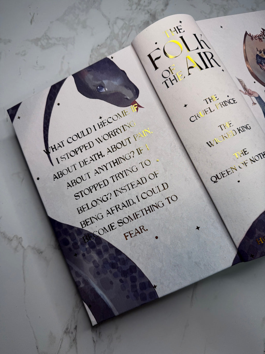 The Folk of the Air by Holly Black Omnibus Binding ft. Art by Talita Asami