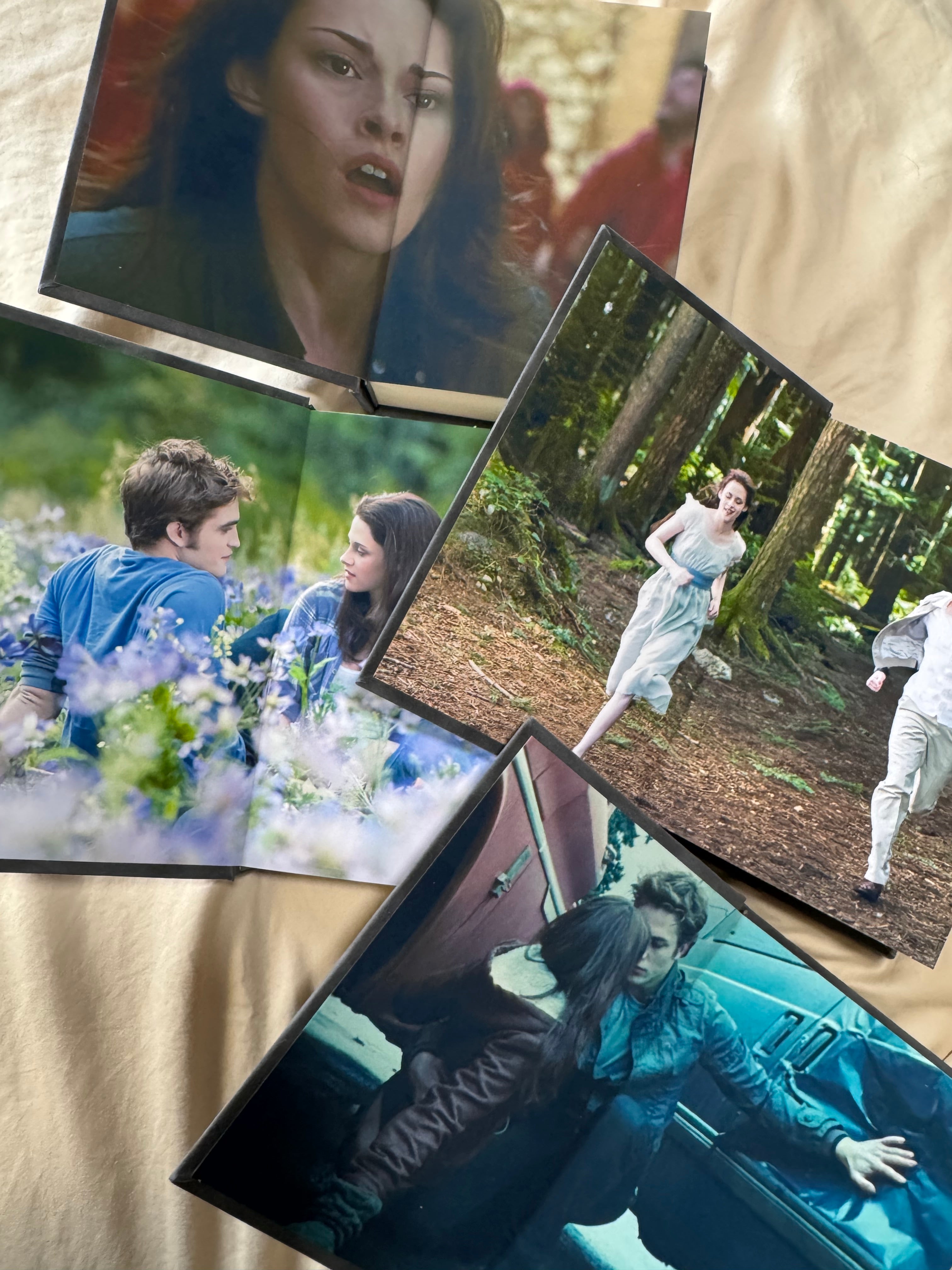 Twilight Saga