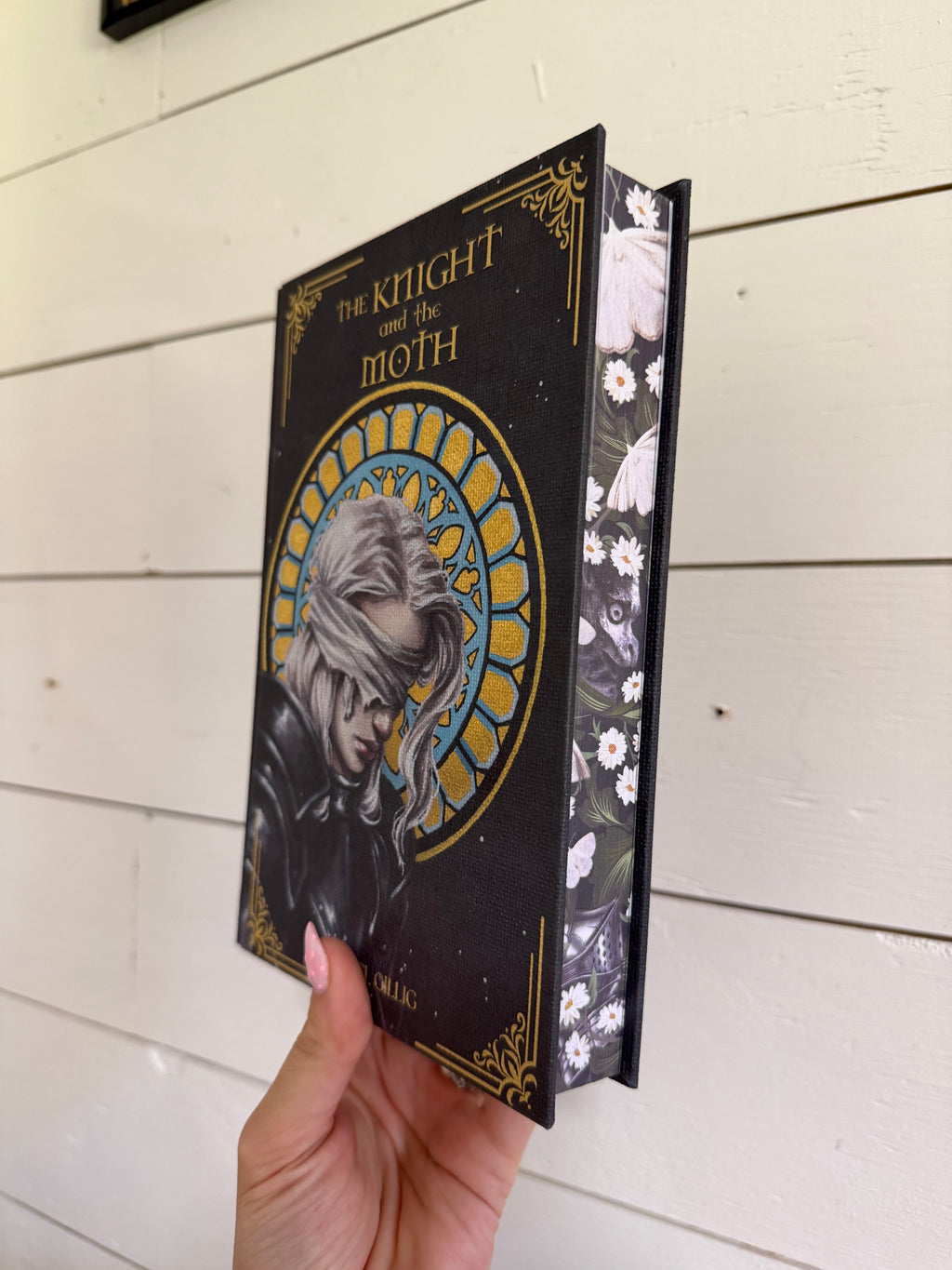 The Knight and the Moth by Rachel Gillig in Collaboration with Artist Karina Giada