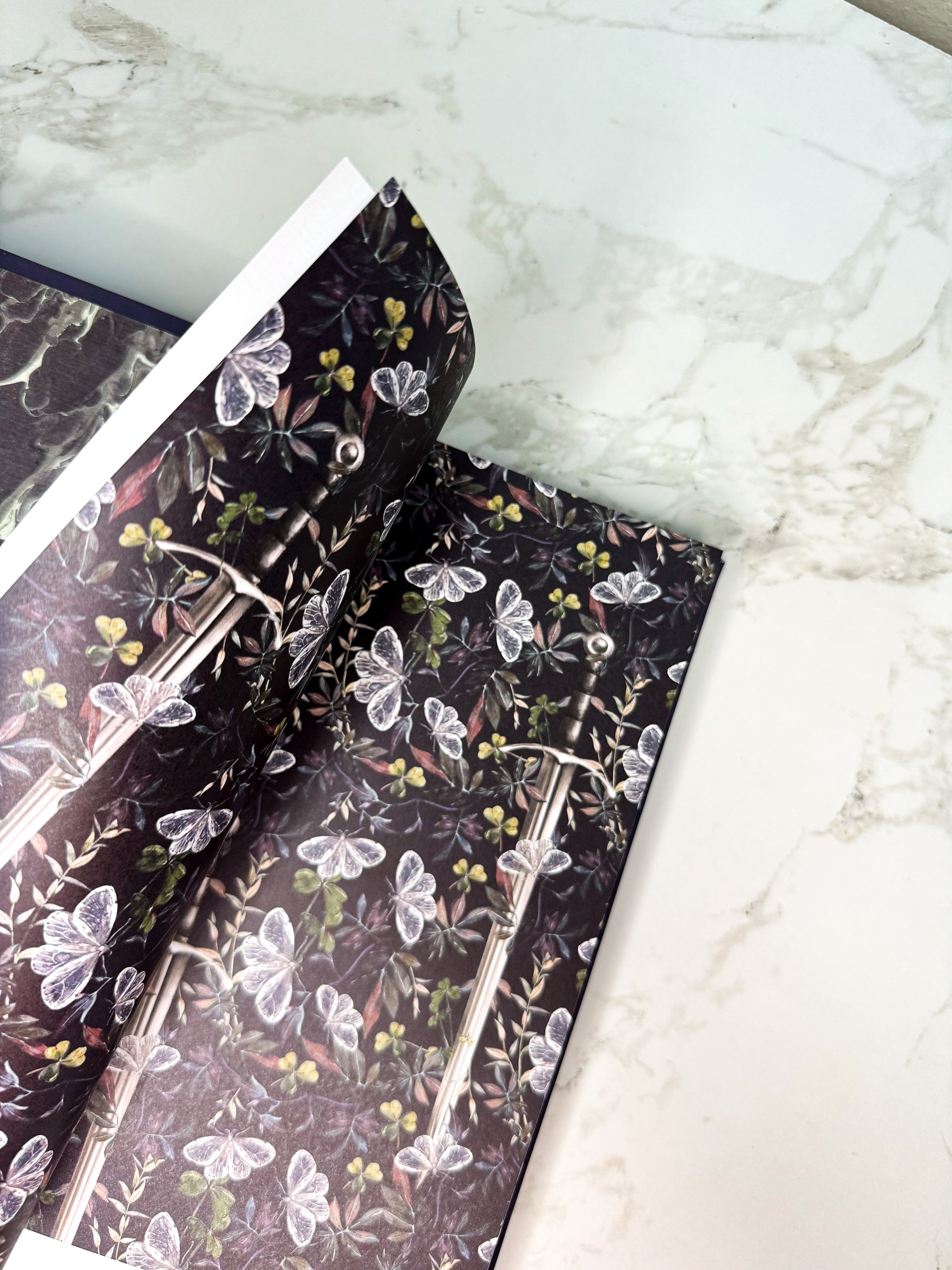 Deluxe Edition of The Knight and the Moth by Rachel Gillig in Collaboration with Artist Karina Giada