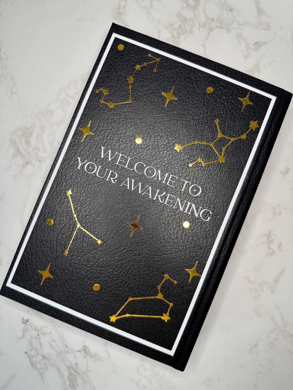 Zodiac Academy by Caroline Peckham and Susanne Valenti